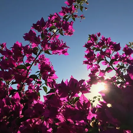 Lägenhet Casa Lucia *